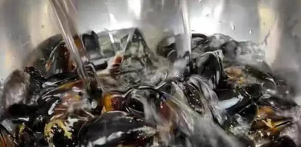 海虹10元一斤真便宜，鲜美补身效果好，你家餐桌缺了啥？
