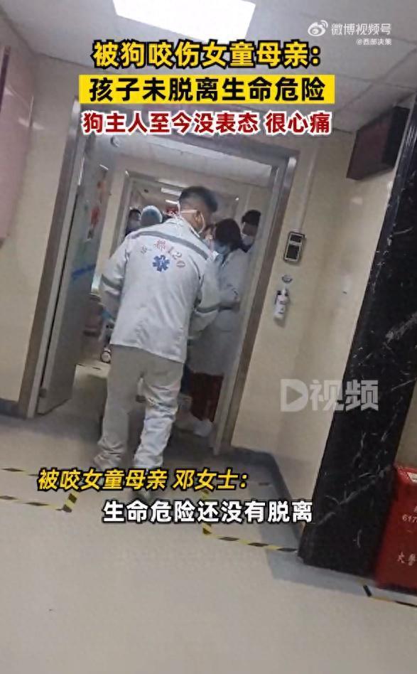 女童母亲说狗主人至今没表态孩子仍未脱离生命危险 比较担心后续高昂的治疗费用