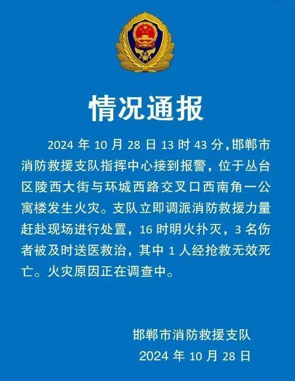 河北一公寓发生火灾致1死2伤 20余人被困楼顶