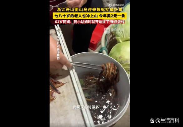 老人扎堆捉蜈蚣收购价2元1条 银发经济中的生态密码