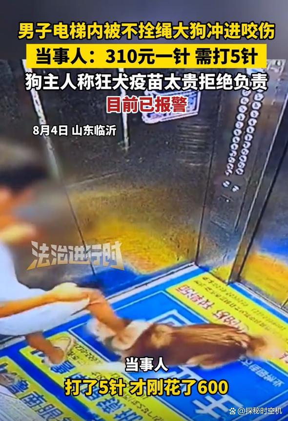 男子被狗咬伤狗主人嫌疫苗贵 不拴绳犬只惹祸