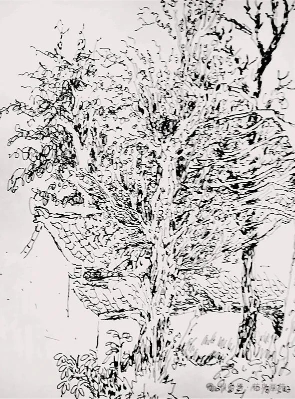 20251112095438328426.jpg 24.jpg