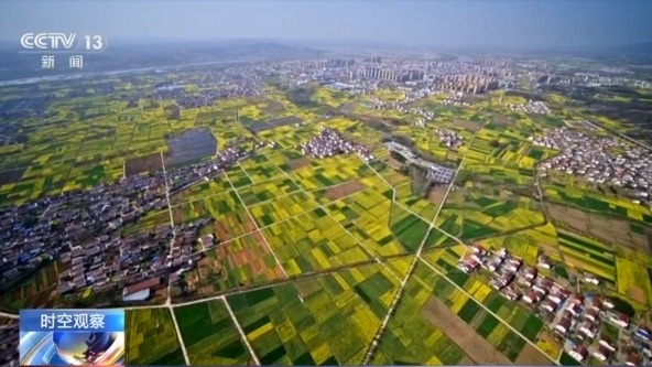 從兩個關(guān)鍵詞看中央一號文件新亮點 深化農(nóng)村改革與單產(chǎn)提升