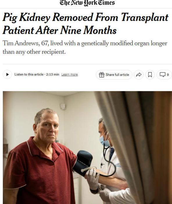 67岁男子移植近9个月的猪肾被摘除,因无法阻止免疫排斥