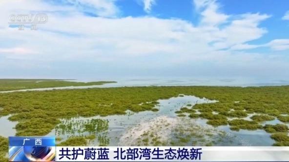 從潿洲島到三娘灣 探訪廣西北部灣生態(tài)守護(hù)之路