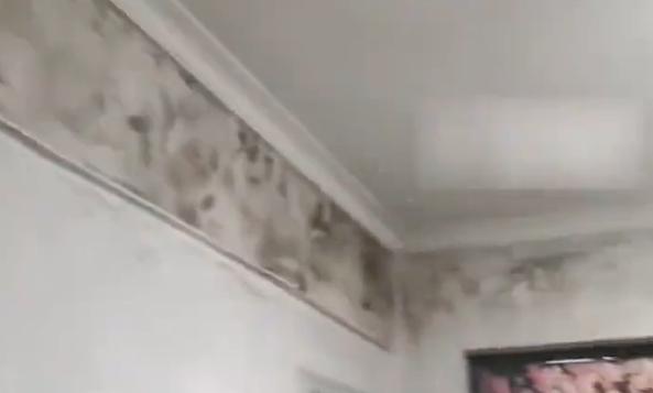 全家频繁生病 揭开墙布全屋发霉