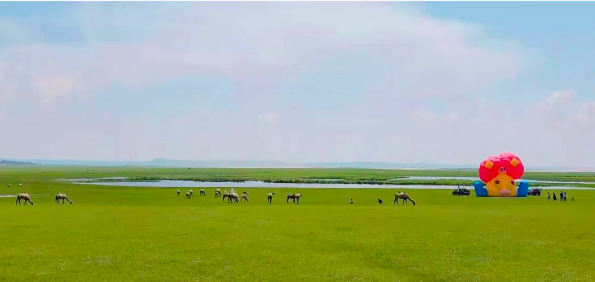 一场给牛、马、羊、飞鸟与鱼看的大地艺术展——其其格在呼伦贝尔大草原