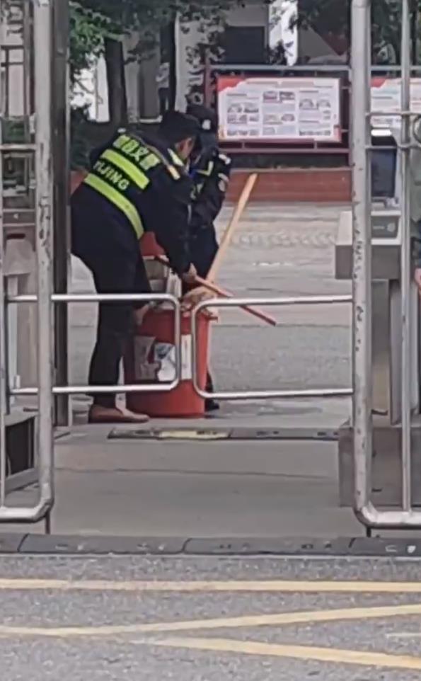 學?；貞?名保安虐殺流浪狗 涉事人員已被開除