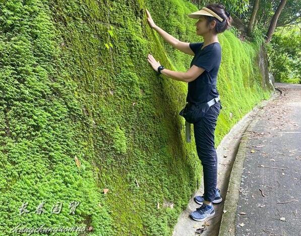 钟楚红路边素颜近照曝光 61岁真实状态全现形