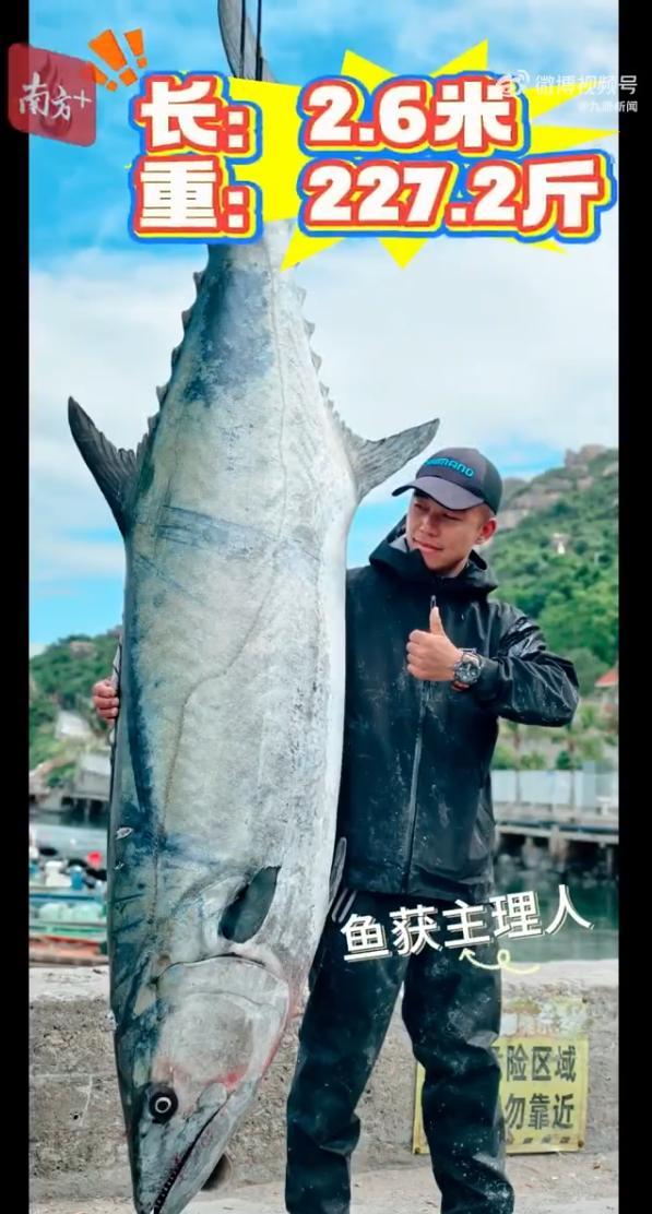 男子钓出227.2斤鱼王引围观