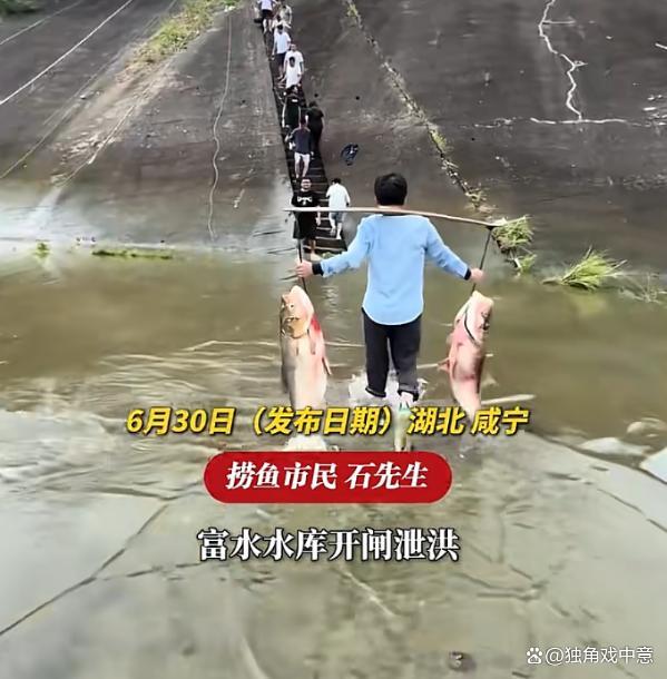 水库泄洪大量民众在河里抓鱼，抓到的鱼成堆放在岸边！
