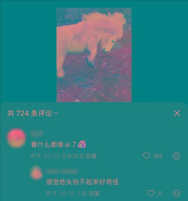 刷到一个又一个假视频后 我不敢相信互联网了