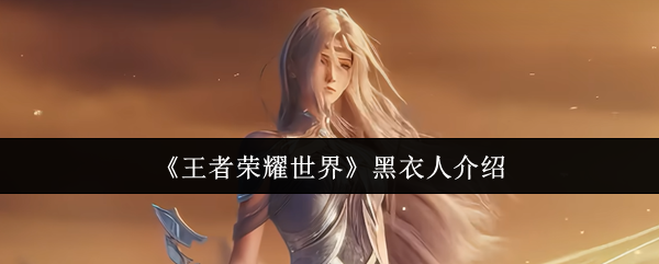 《王者荣耀世界》黑衣人介绍