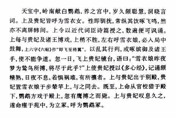鹦鹉的简谱_鹦鹉卡通图片(3)