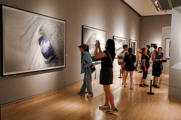 墨界——陈征惬心照相作品展在中国好意思术馆开幕