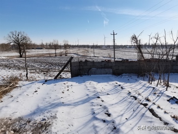 “二九下了雪,九九雪不歇”是啥意思?