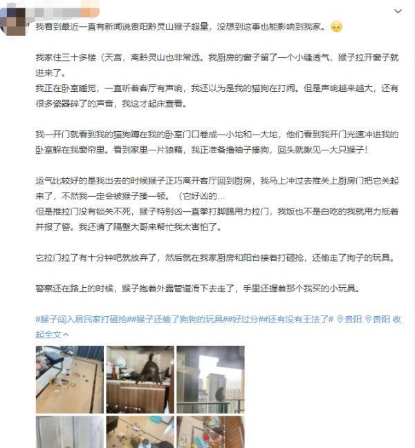 猴子闯30层住户家 和狗抢玩具、拳打脚踢用力拉门