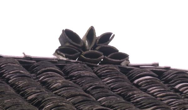 贵州一户村民在老屋挖到神秘坛子！里面竟装了100年前的鸦片！