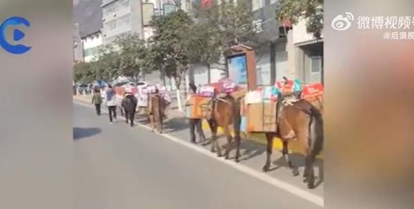 陕西一县城用马匹运送抗疫物资引质疑 官方回应