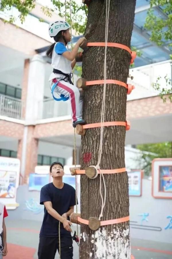 小孩爬树图片图片