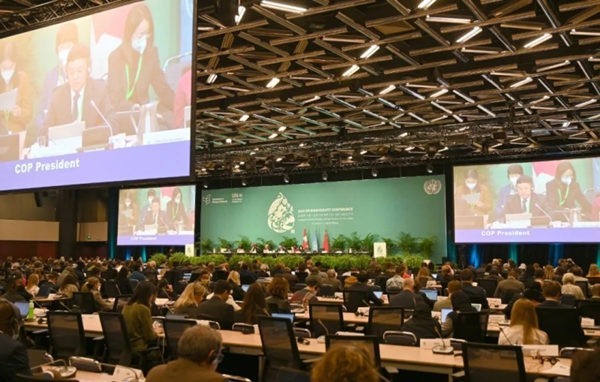 联合国《生物多样性公约》第十五次缔约方大会