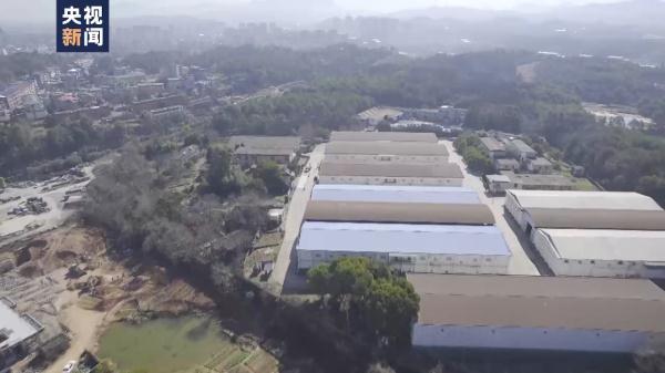 胡鑫宇缢吊地为何成搜索盲区?听说有毒蛇 就没去搜寻