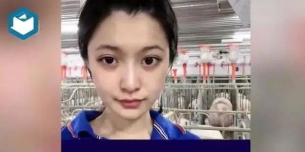 24岁酷似baby女大学生回应毕业养猪：年薪10万很有意思