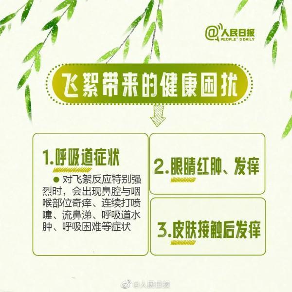 敏感人群注意！北京杨柳飞絮第二个高发期来临 六环内高发时间持续至5月3日！