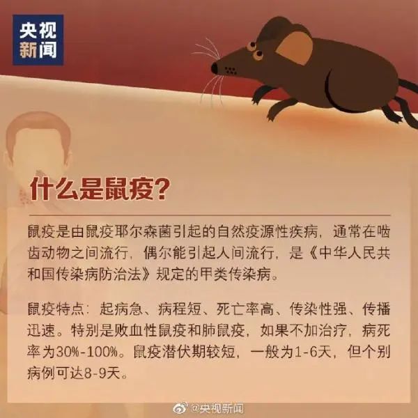 内蒙古一家3口接连确诊鼠疫 密接者已全部隔离 鼠疫应该如何预防？