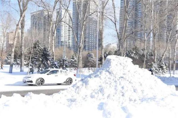 哈尔滨大雪学生停课 黑龙江省气象台发布暴雪红色预警信号