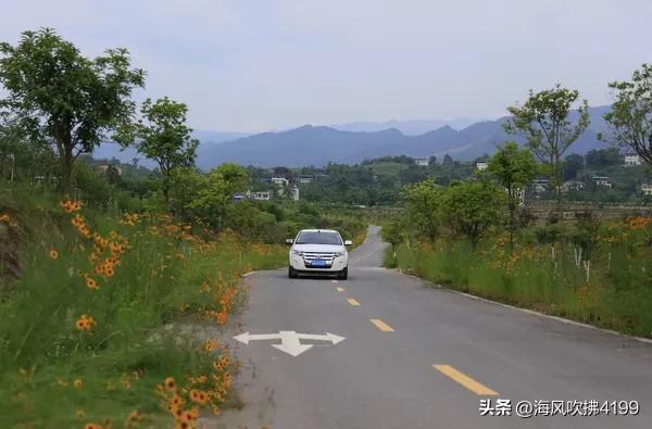 内蒙古一行人被撞身亡肇事车辆逃逸 目前警方已经介入调查对此事进行全力追踪