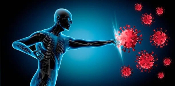 专家:红斑狼疮致残致死率较高