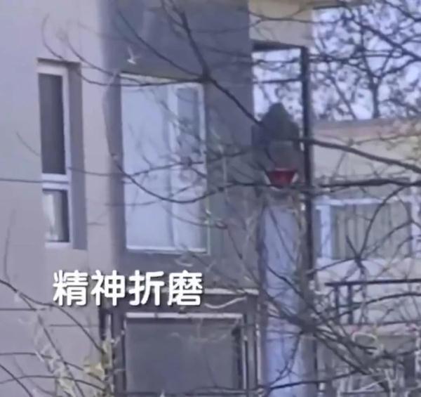 北京一居民花10万买高15米大恐龙摆院中，邻居被吓坏