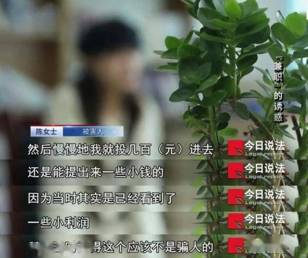 女子做兼职刷单写好评 被骗20多万牵出20亿大案