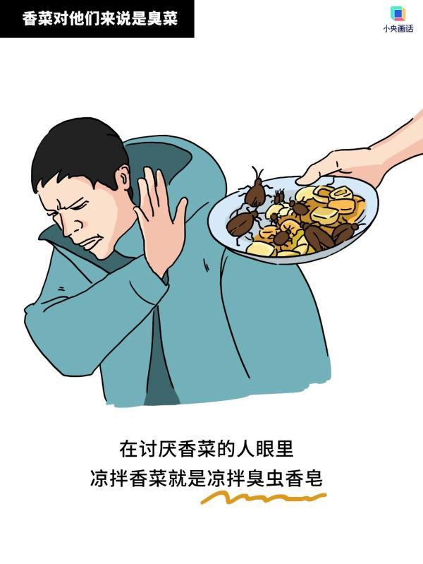 对不吃香菜的人，请尊重、理解、祝福