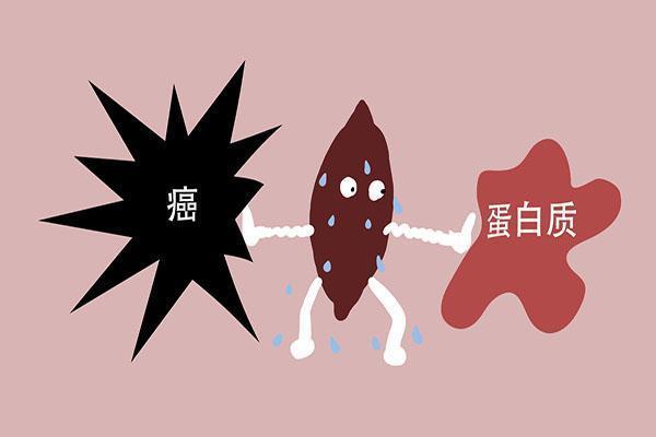 红薯能消灭98.7%的癌细胞，是真是假？研究结果揭晓