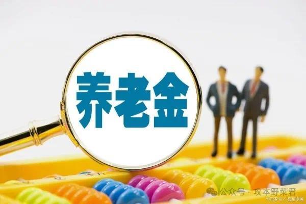 农民养老金上涨，一次性补缴5.4万元，不同地区养老金差异大，在哪里领得多？1200元难吗