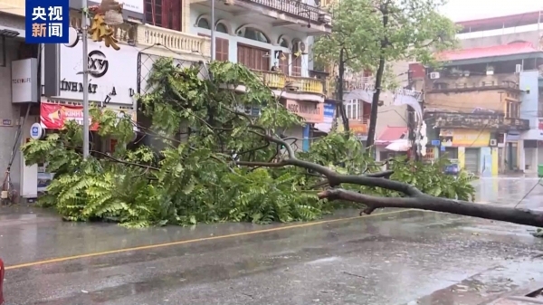 台风“摩羯”席卷越南：集装箱和船只被掀翻 狂风吹跑民众高楼玻璃被刮下