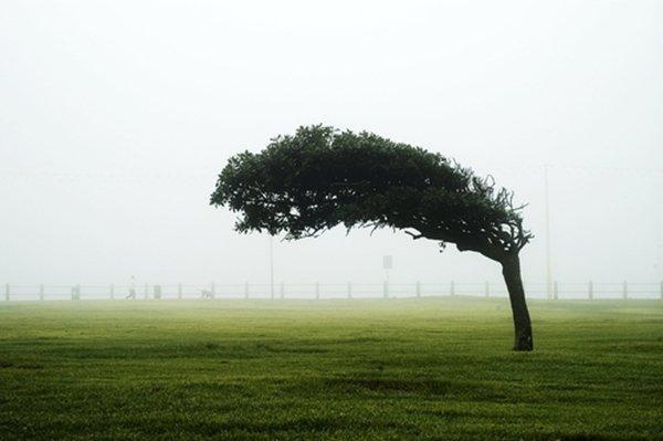 飓风十级风圈内 雨点像石子砸脸上 安全防备刻不容缓