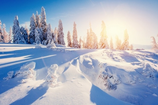 大雪会降大雪吗？冬月初八有预兆 冬月初八日头笑，讲理松驰一冬干