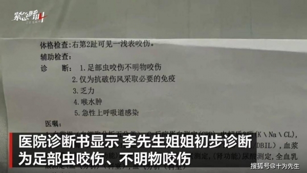 三亞女子被蛇咬傷送醫(yī)身亡：專家曾稱醫(yī)護(hù)蛇傷處置能力待提升