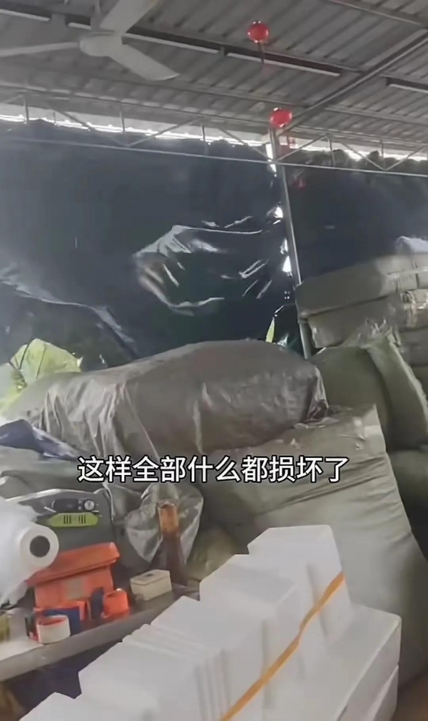 全红婵老家新房已开始浇筑 施工到明年才能入住