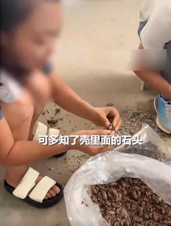 女子收老人知了壳被大量塞石子 诚信问题引热议