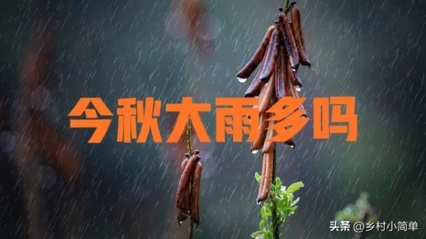 “雨水停不停,就看八月廿一”,农谚怎么说