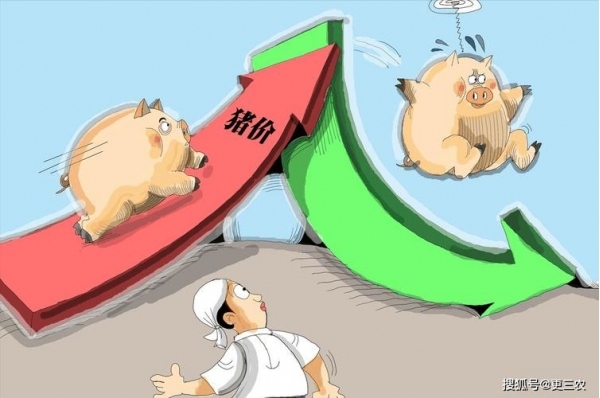 全国猪价“跌跌不休”,猪价下跌养殖户如何抉择?