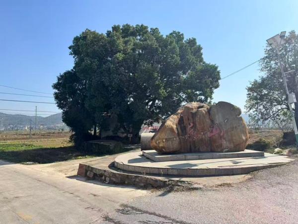 被打假博导郭伟的双面东谈主生