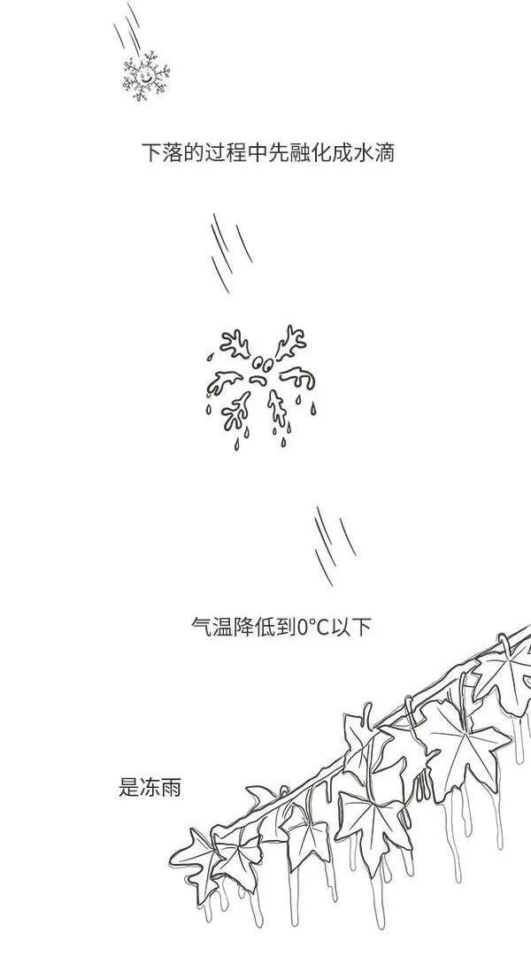 北京，下雪了 降雪将持续至明日午后