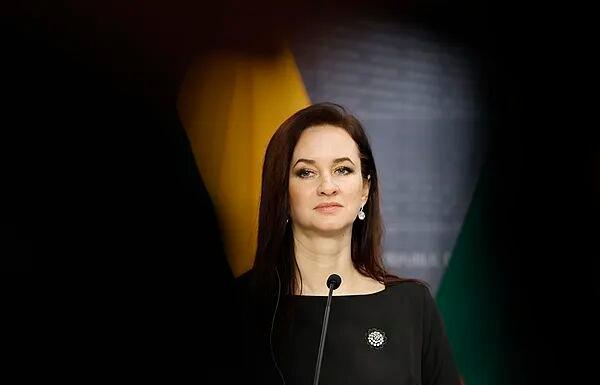 立陶宛承认对中国犯了巨大的错误