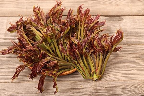 河南一村种香椿被胖东来包圆