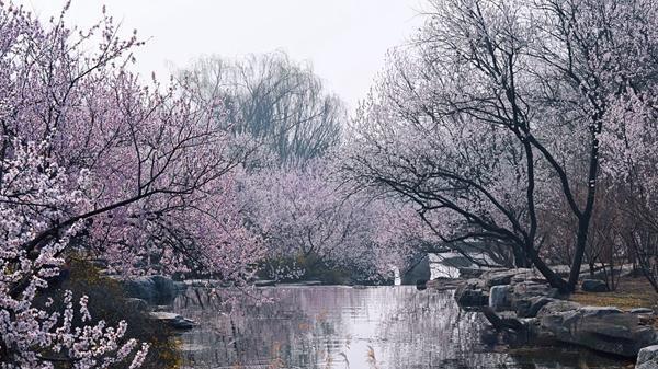 3月22日北京正式入春